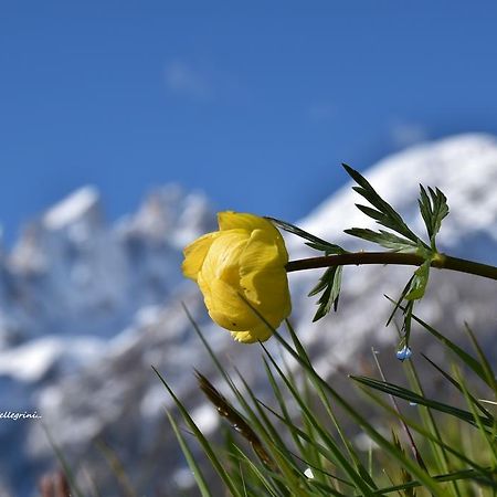 Albergo Ombrettola Фалькаде Екстер'єр фото